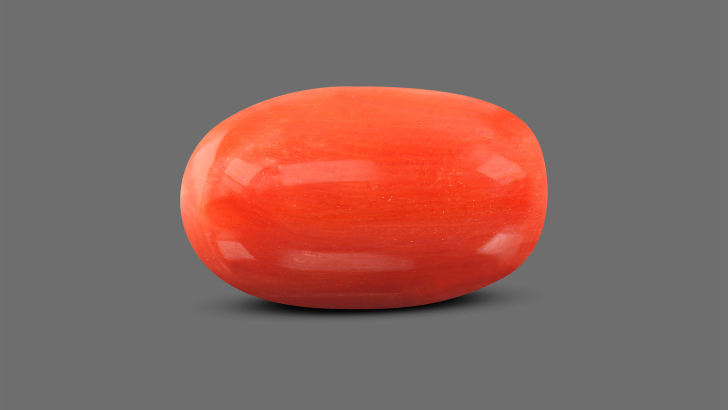 Natural Italian Red Coral (Moonga) 9.16 Carats