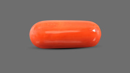 Natural Italian Red Coral (Moonga) 15.22 Carats