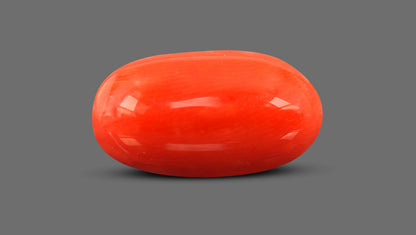 Natural Italian Red Coral (Moonga) 7.51 Carats