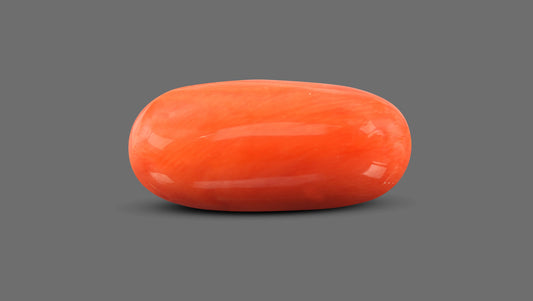Natural Italian Red Coral (Moonga) 13.34 Carats