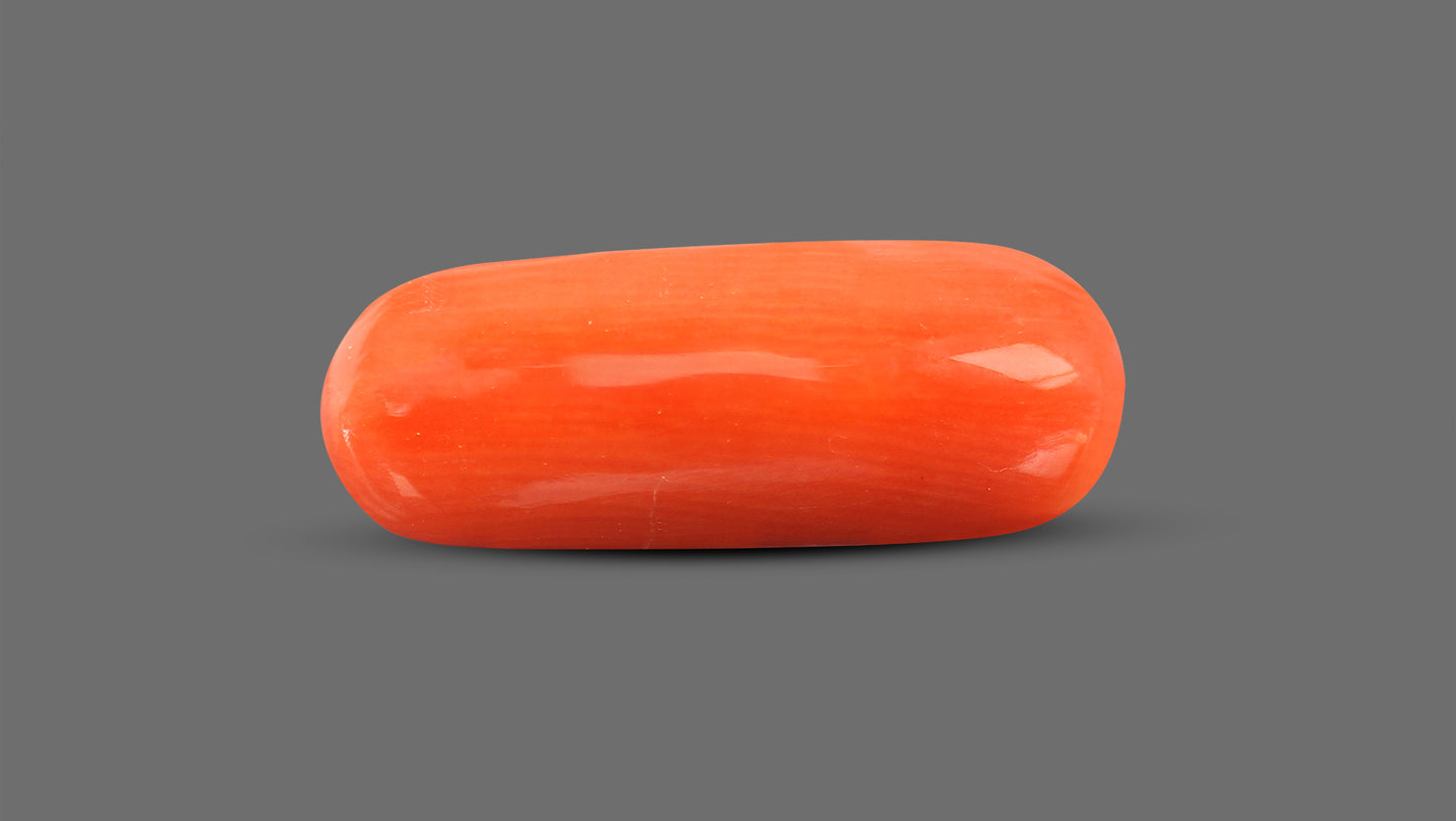 Natural Italian Red Coral (Moonga) 8.89 Carats