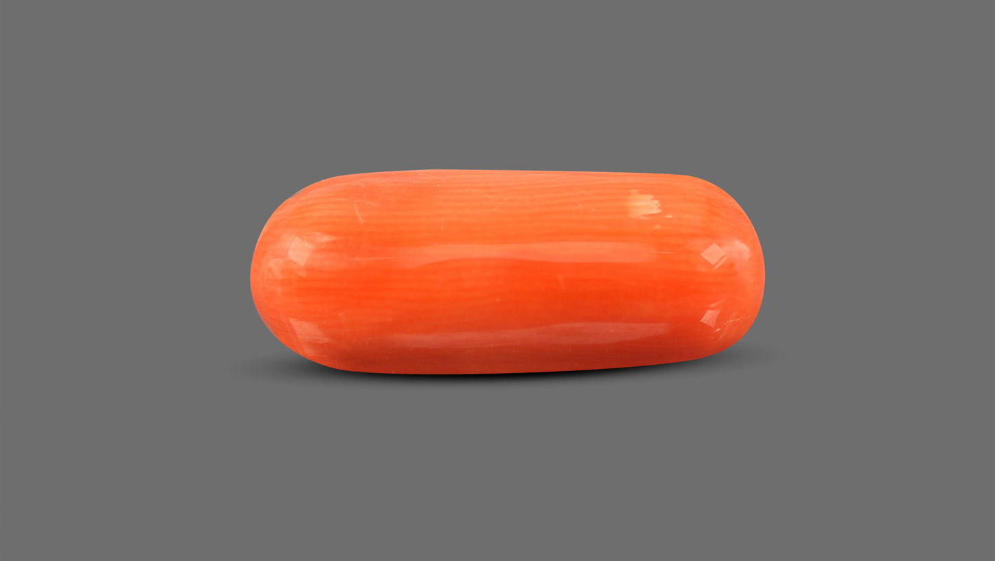 Natural Italian Red Coral (Moonga) 8.85 Carats