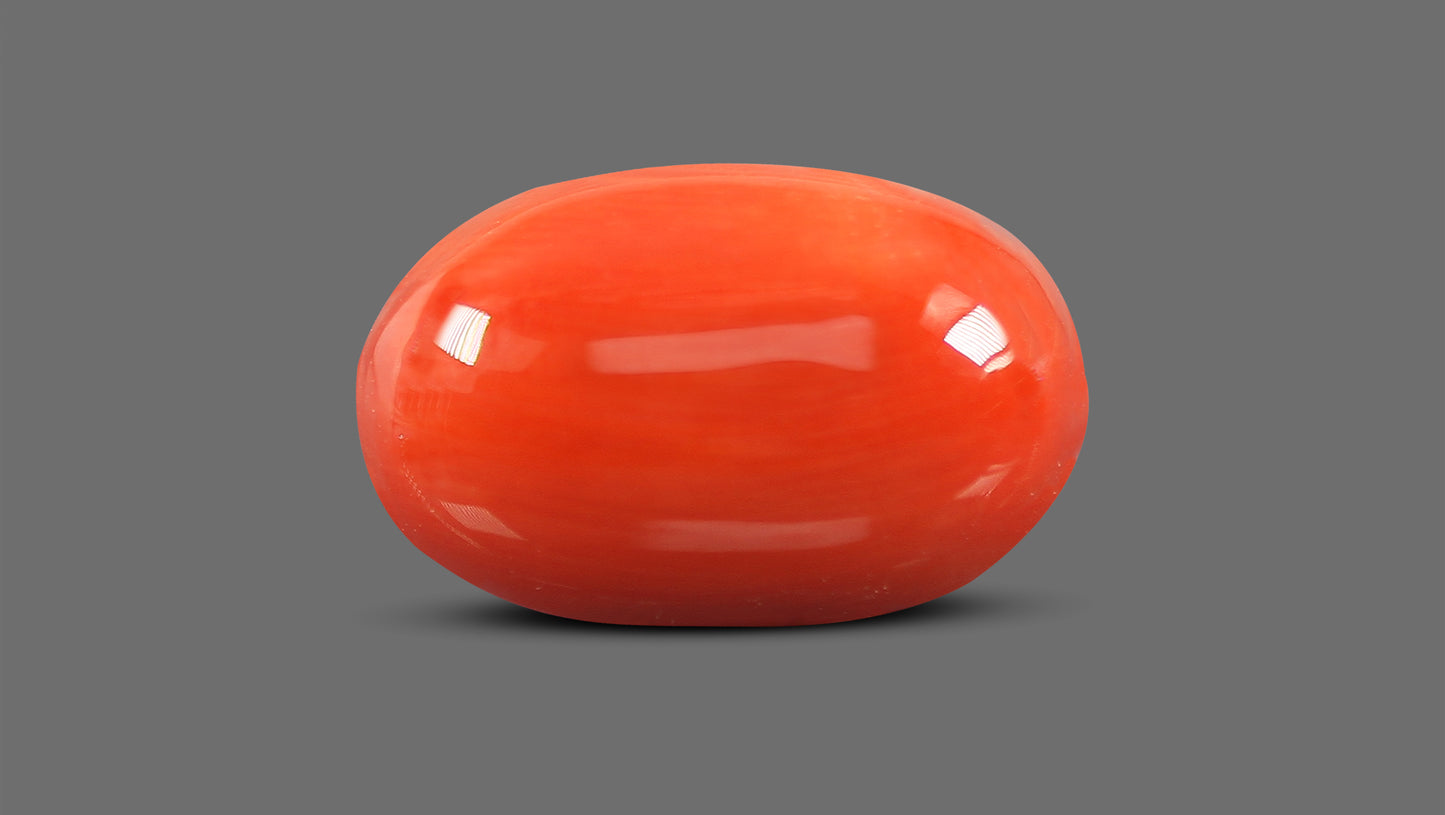 Natural Italian Red Coral (Moonga) 9.23 Carats