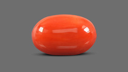 Natural Italian Red Coral (Moonga) 9.23 Carats
