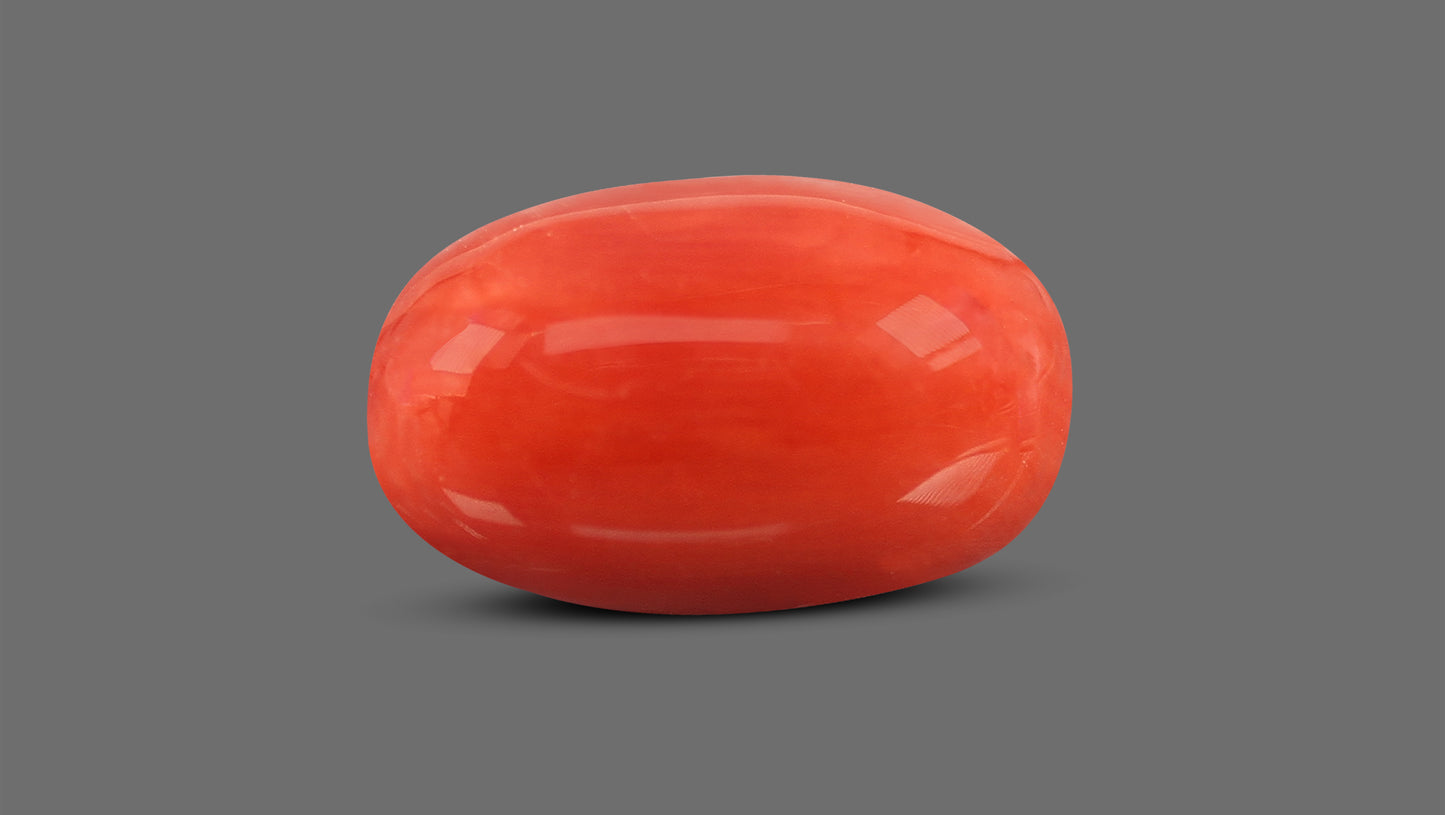 Natural Italian Red Coral (Moonga) 7.28 Carats