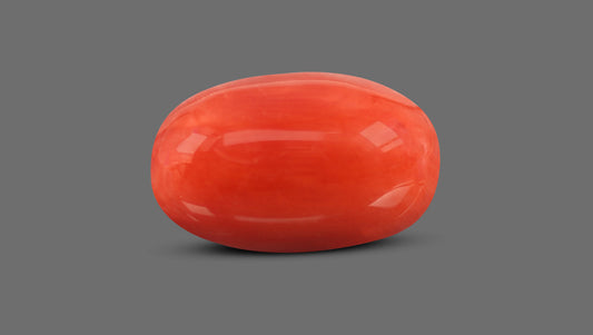 Natural Italian Red Coral (Moonga) 7.28 Carats