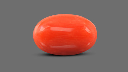 Natural Italian Red Coral (Moonga) 6.56 Carats