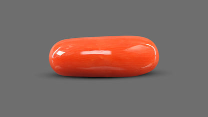 Natural Italian Red Coral (Moonga) 9.44 Carats