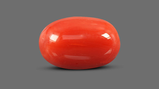 Natural Italian Red Coral (Moonga) 11.70 Carats