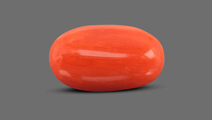 Natural Italian Red Coral (Moonga) 6.98 Carats