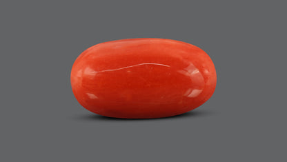 Natural Italian Red Coral (Moonga) 7.82 Carats