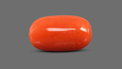 Natural Italian Red Coral (Moonga) 8.86 Carats