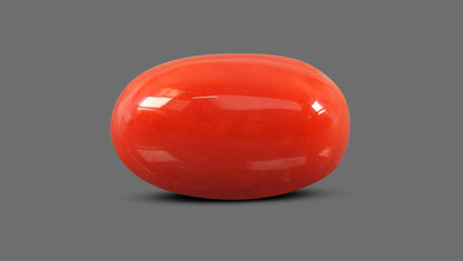 Natural Italian Red Coral (Moonga) 10.93 Carats