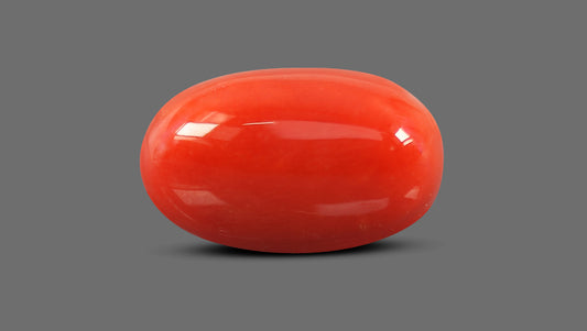 Natural Italian Red Coral (Moonga) 10.93 Carats