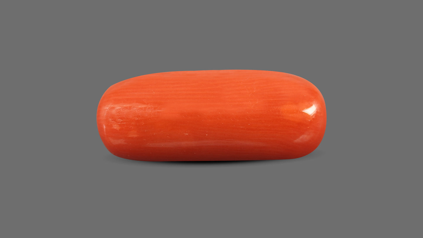 Natural Italian Red Coral (Moonga) 8.63 Carats