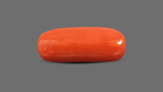 Natural Italian Red Coral (Moonga) 8.63 Carats