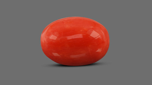 Natural Italian Red Coral (Moonga) 12.80 Carats
