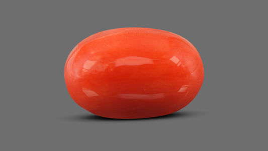 Natural Italian Red Coral (Moonga) 11.93 Carats