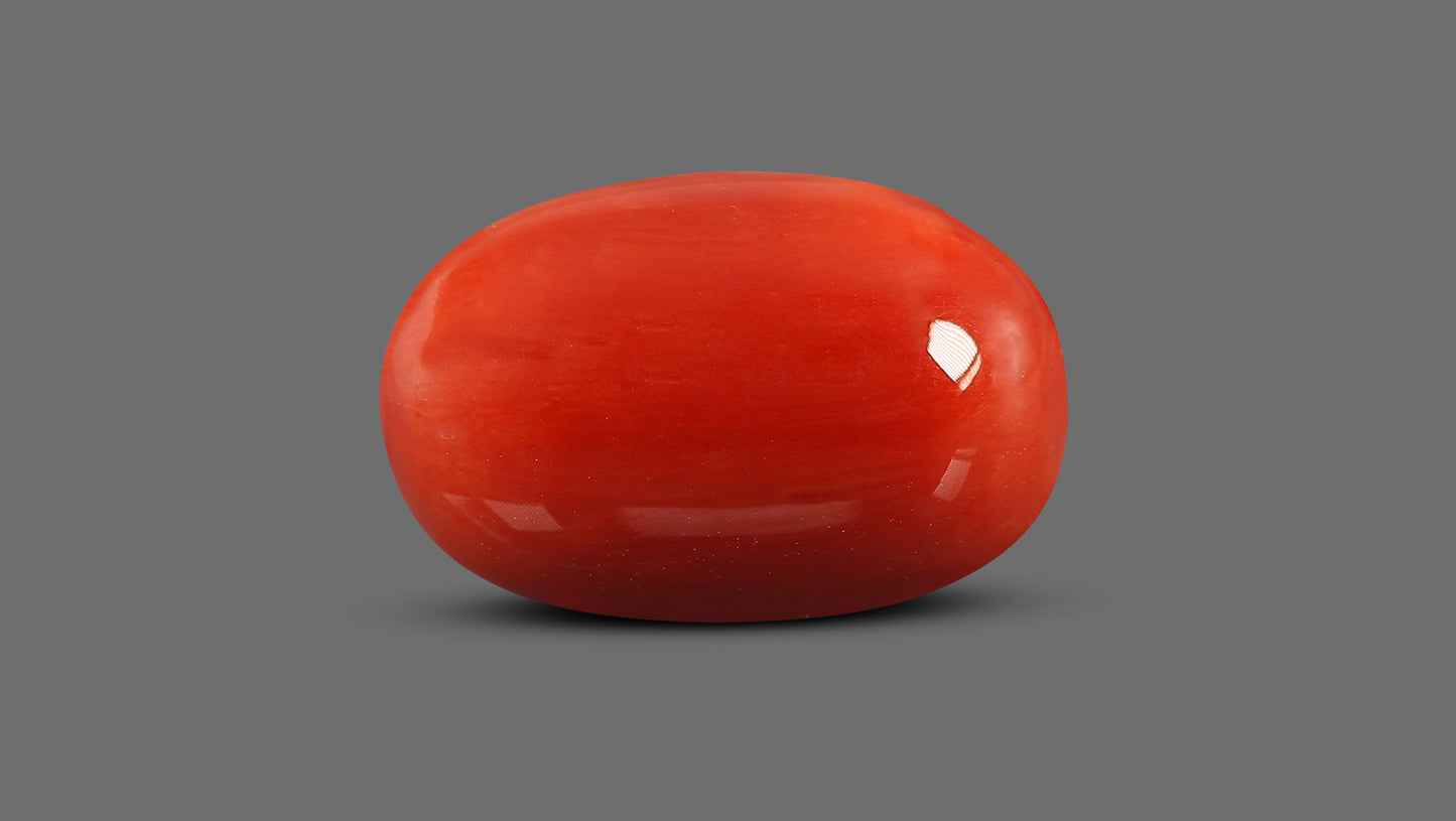 Natural Italian Red Coral (Moonga) 15.75 Carats