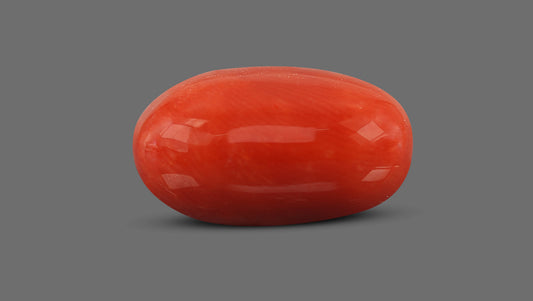 Natural Italian Red Coral (Moonga) 8.65 Carats