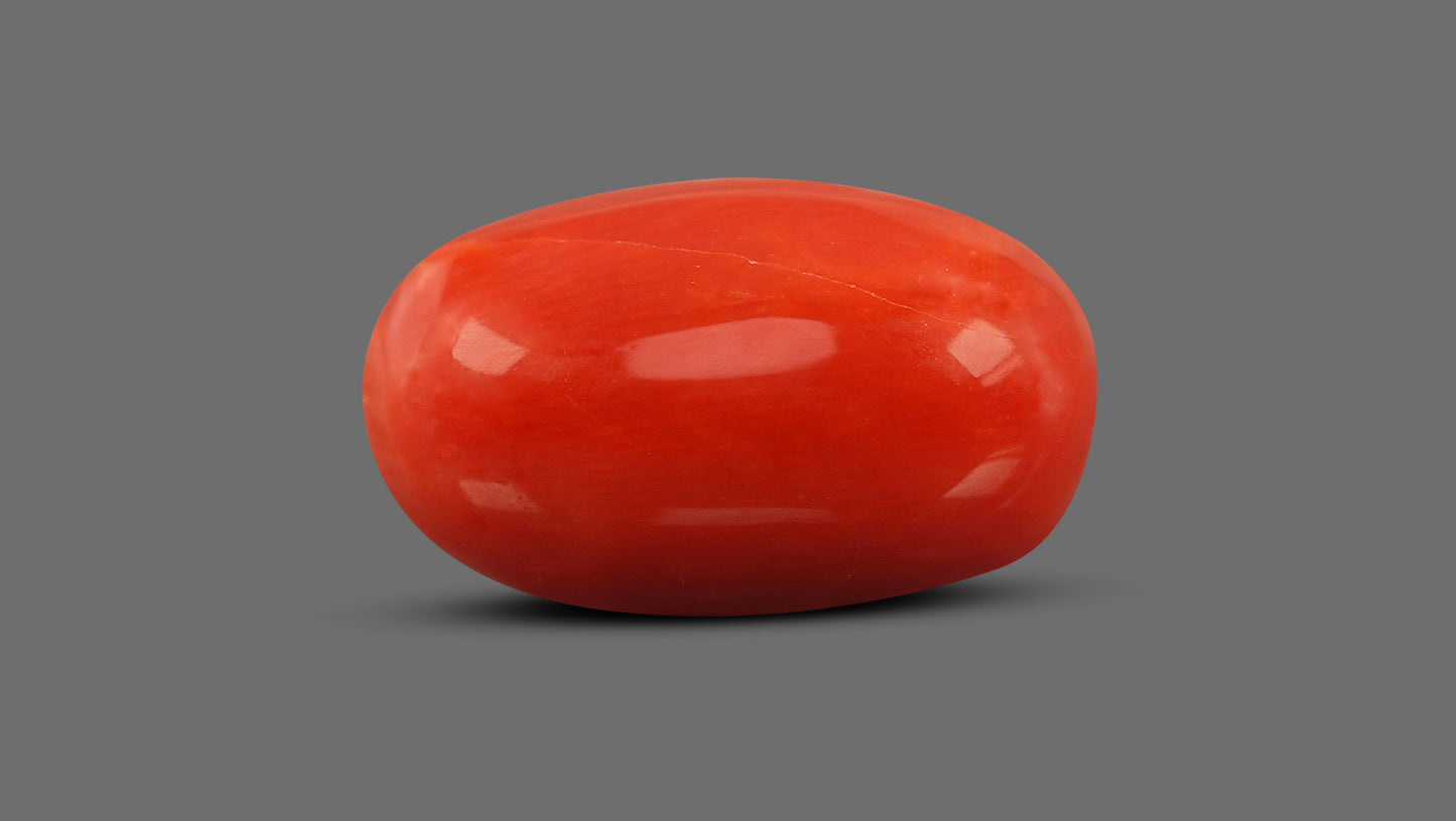 Natural Italian Red Coral (Moonga) 13.20 Carats