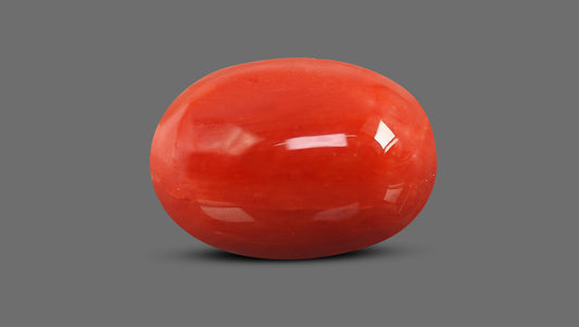 Natural Italian Red Coral (Moonga) 12.20 Carats