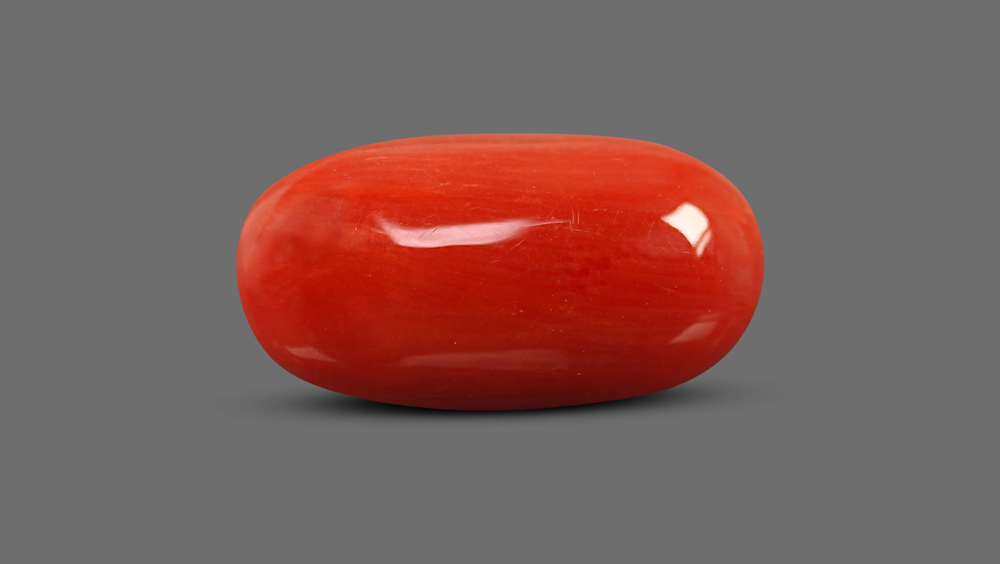 Natural Italian Red Coral (Moonga) 8.73 Carats
