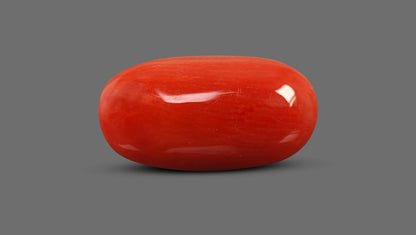 Natural Italian Red Coral (Moonga) 8.73 Carats