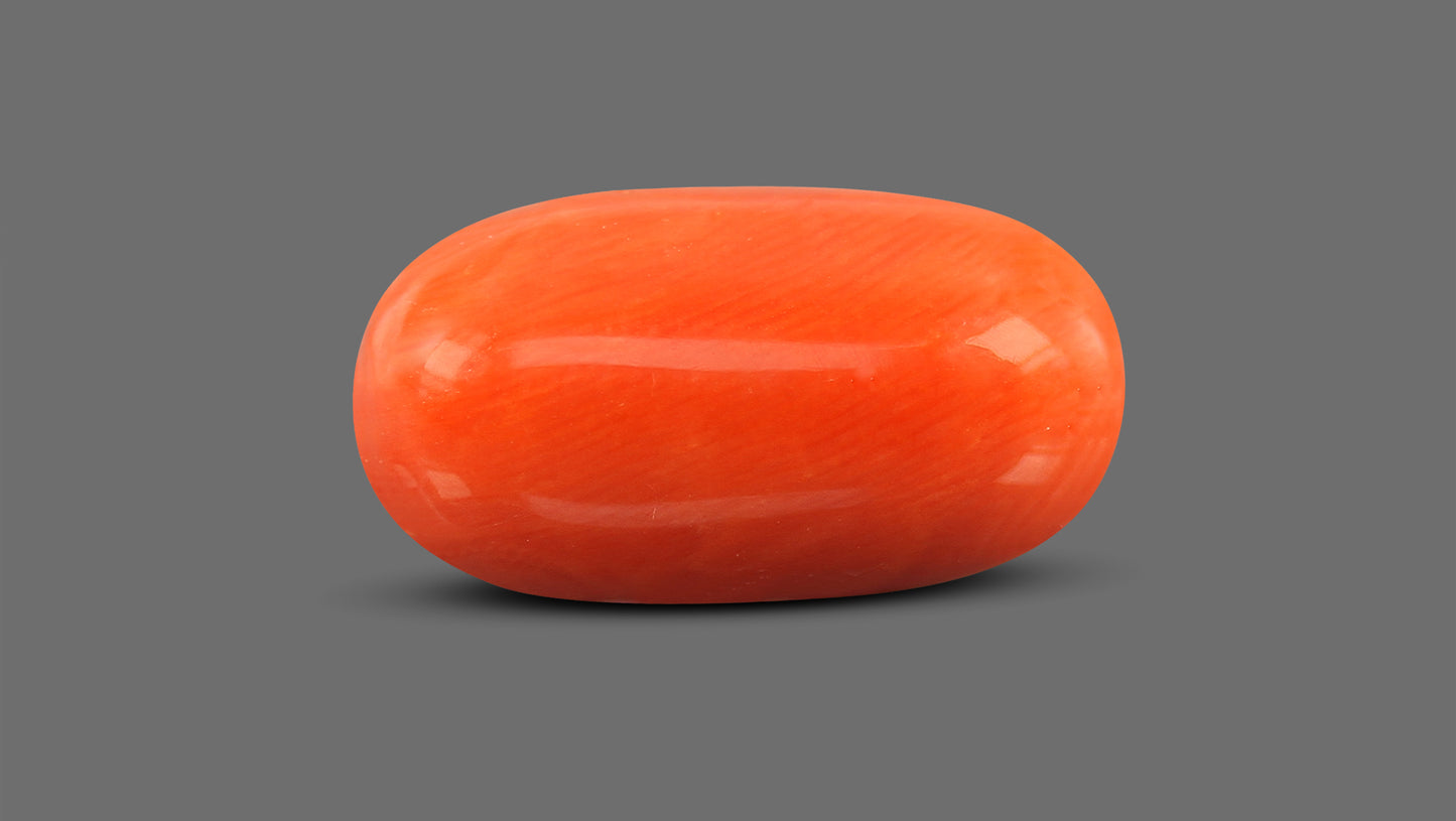 Natural Italian Red Coral (Moonga) 11.85 Carats