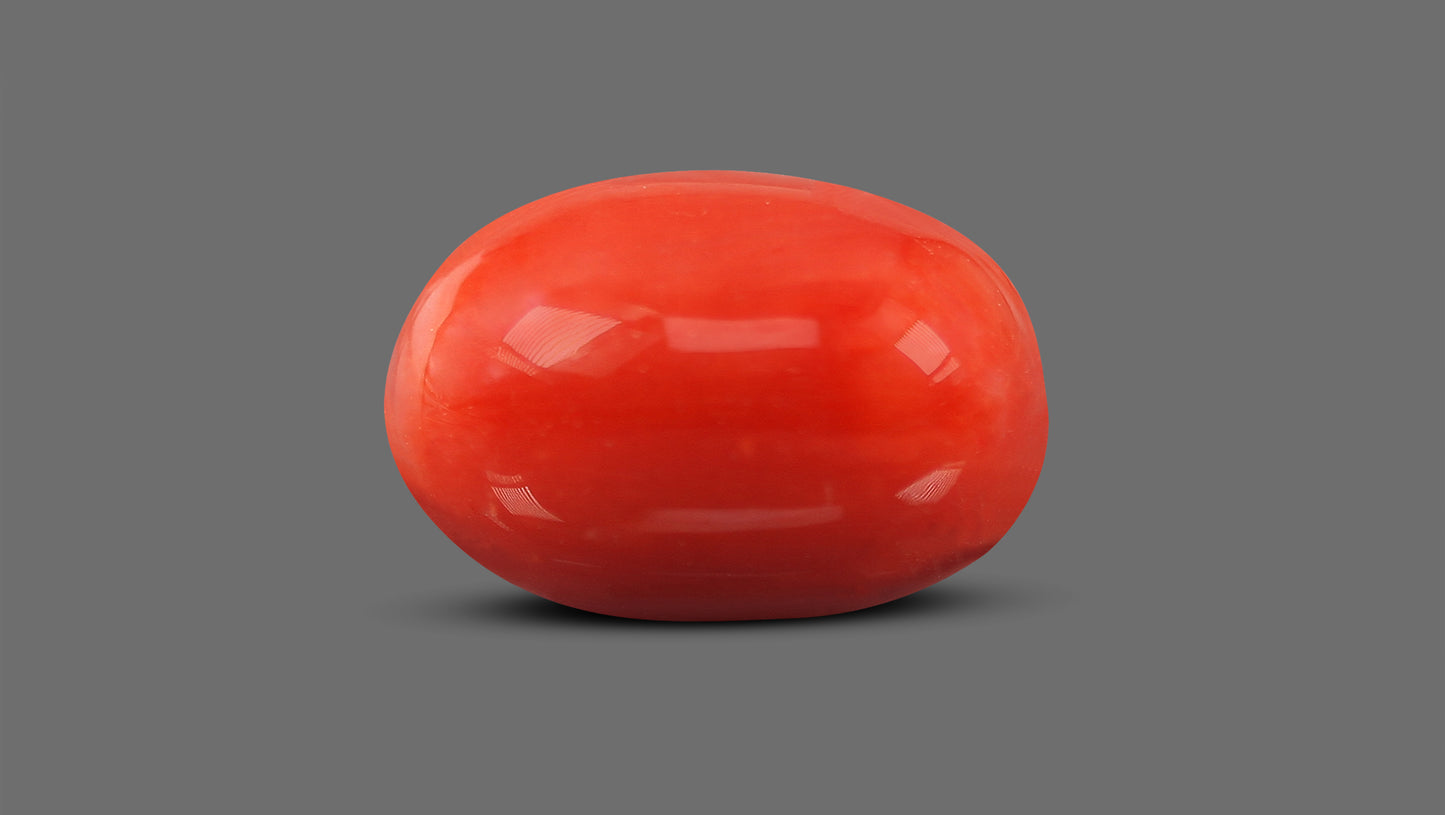 Natural Italian Red Coral (Moonga) 9.50 Carats