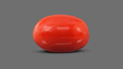 Natural Italian Red Coral (Moonga) 9.50 Carats