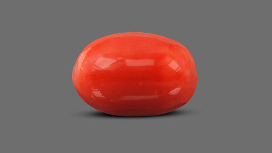 Natural Italian Red Coral (Moonga) 9.50 Carats