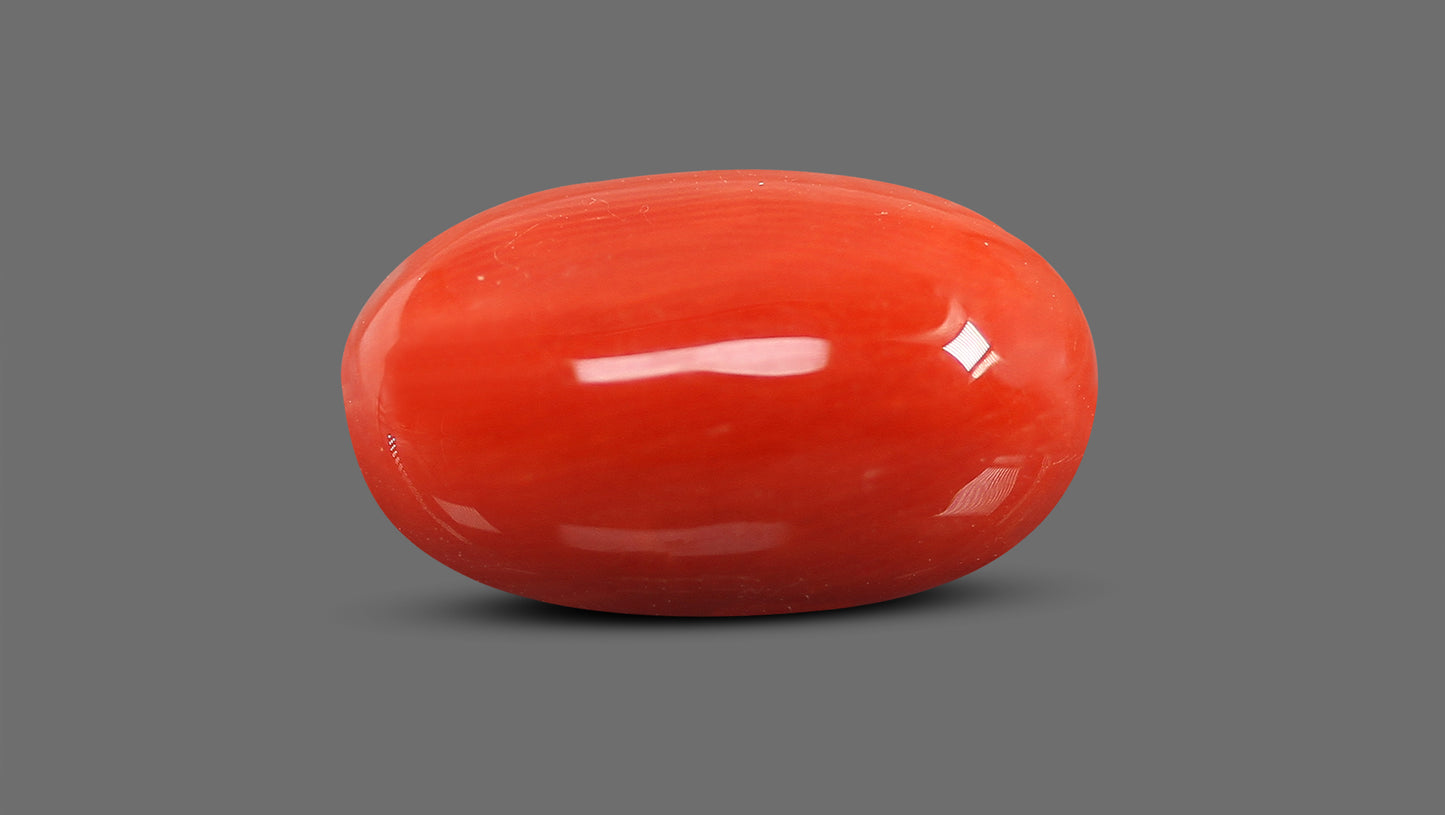 Natural Italian Red Coral (Moonga) 9.30 Carats