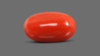 Natural Italian Red Coral (Moonga) 9.30 Carats
