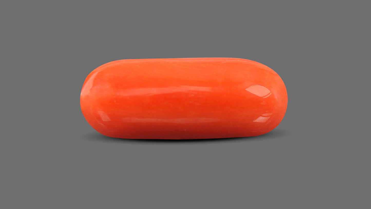 Natural Italian Red Coral (Moonga) 9.12 Carats