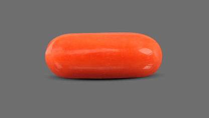 Natural Italian Red Coral (Moonga) 9.12 Carats