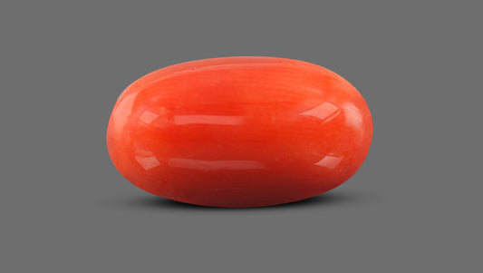 Natural Italian Red Coral (Moonga) 9.32 Carats