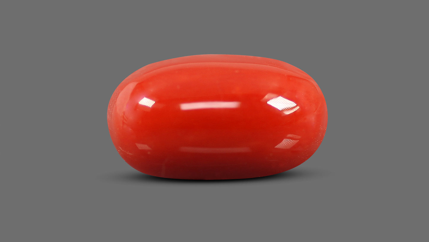 Natural Italian Red Coral (Moonga) 9.30 Carats