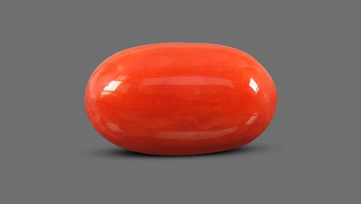 Natural Italian Red Coral (Moonga) 8.24 Carats