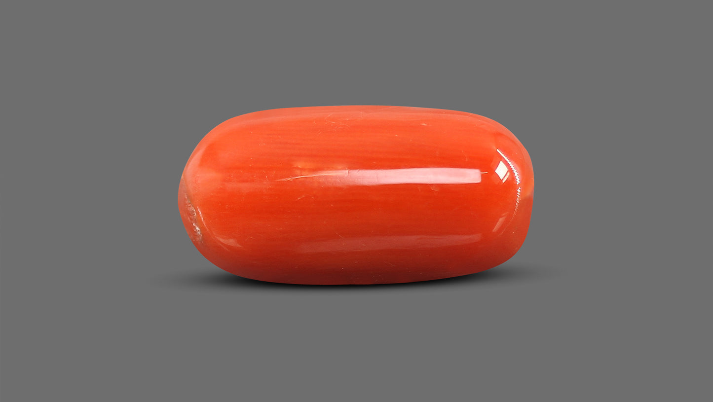 Natural Italian Red Coral (Moonga) 11.38 Carats