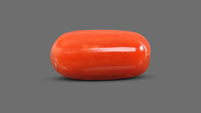 Natural Italian Red Coral (Moonga) 11.38 Carats