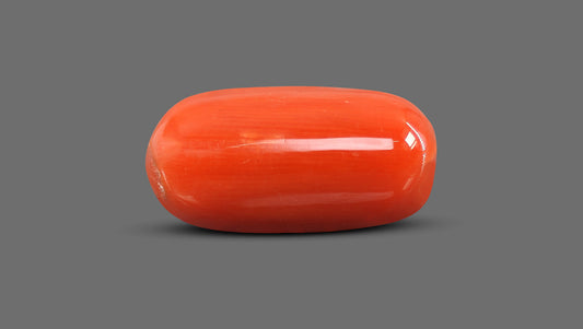 Natural Italian Red Coral (Moonga) 11.38 Carats