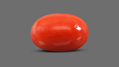 Natural Italian Red Coral (Moonga) 9.19 Carats