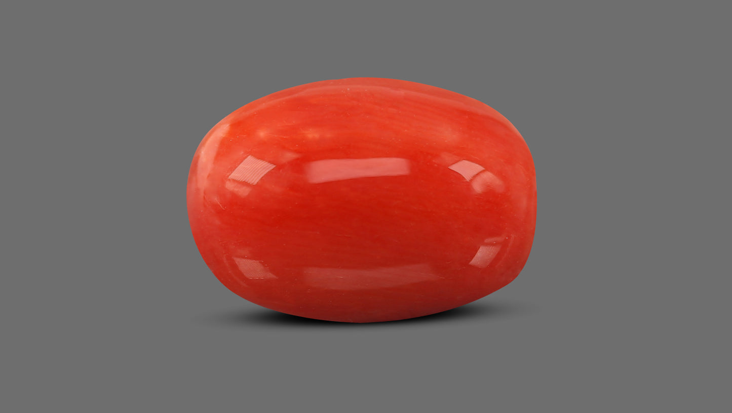 Natural Italian Red Coral (Moonga) 8.95 Carats