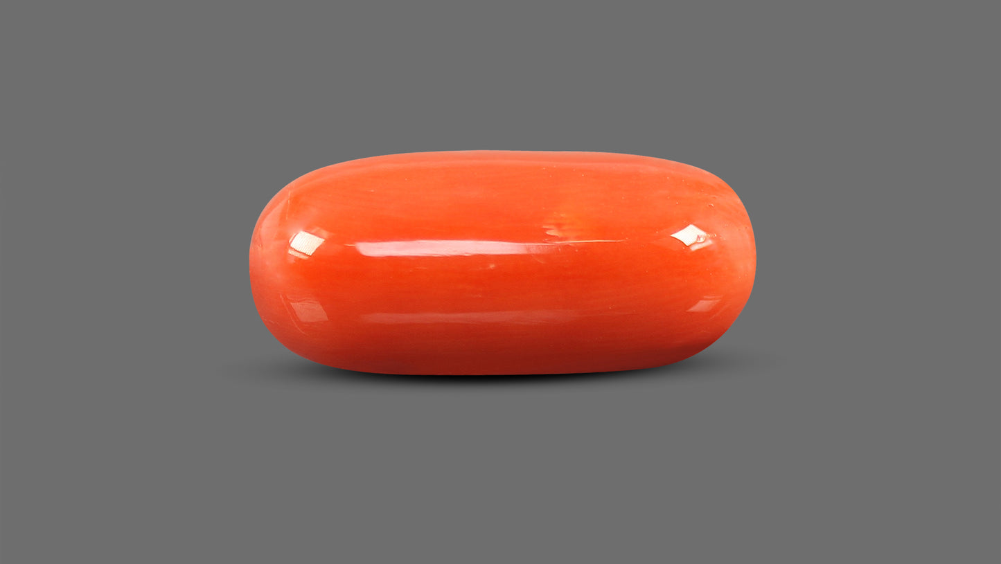 Natural Italian Red Coral (Moonga) 12.02 Carats