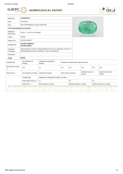 Natural Brazil Emerald (Panna) 3.84 Carats