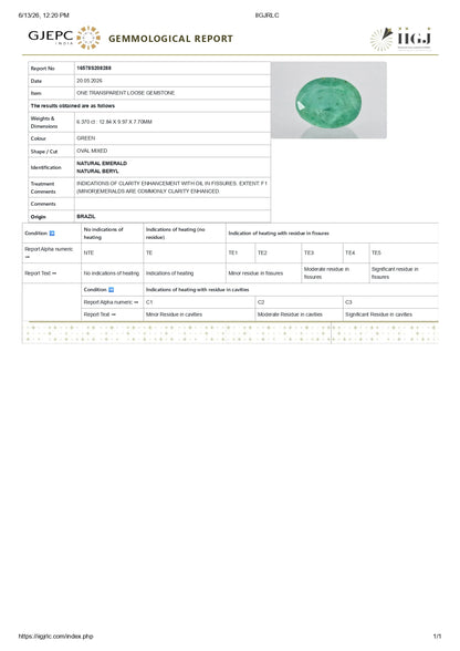 Natural Brazil Emerald (Panna) 6.37 Carats