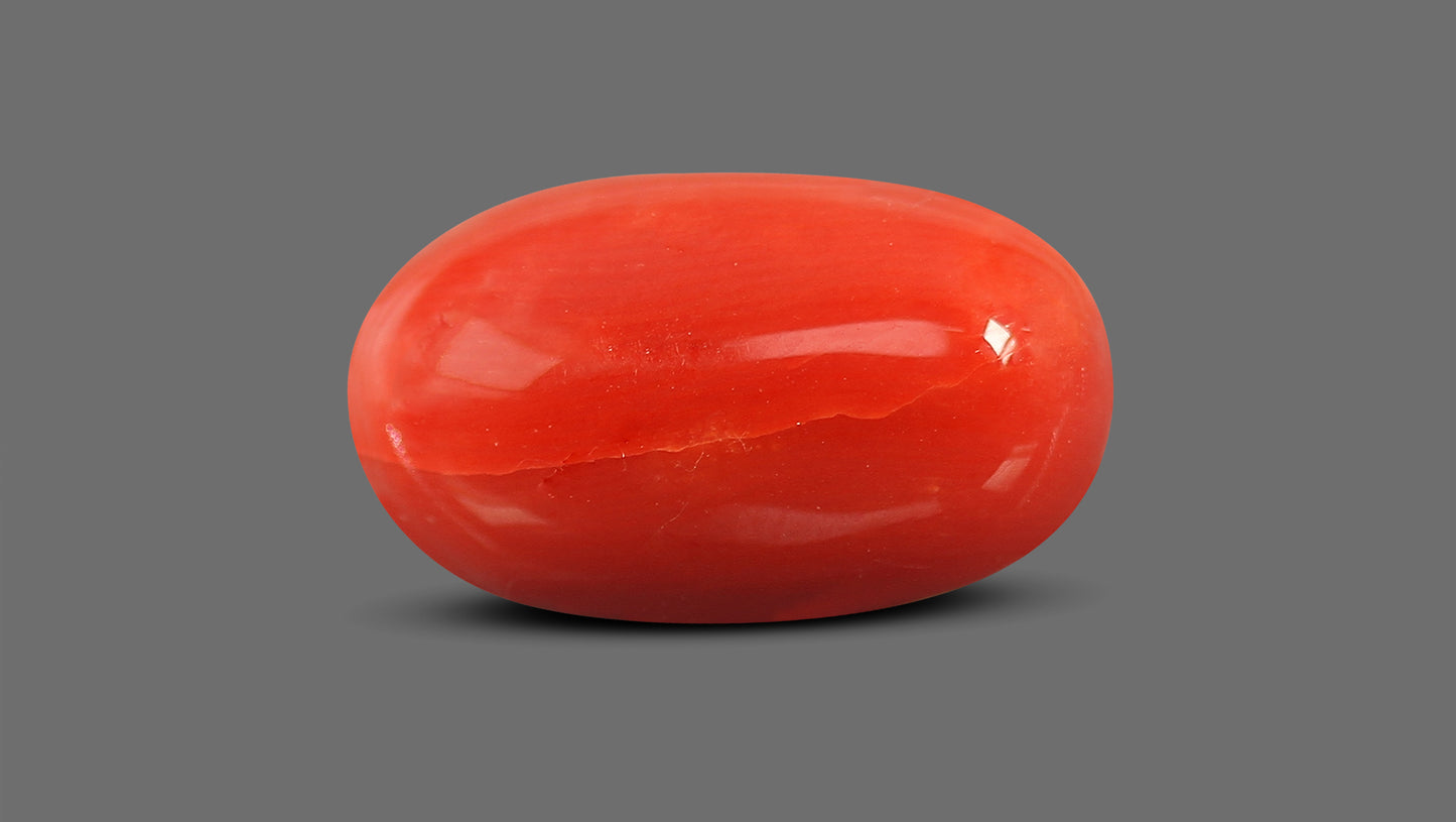 Natural Italian Red Coral (Moonga) 8.46 Carats
