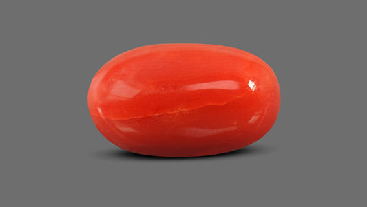 Natural Italian Red Coral (Moonga) 8.46 Carats