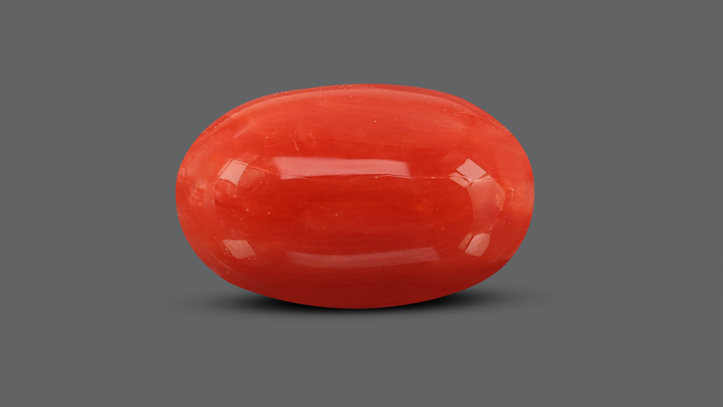 Natural Italian Red Coral (Moonga) 10.82 Carats